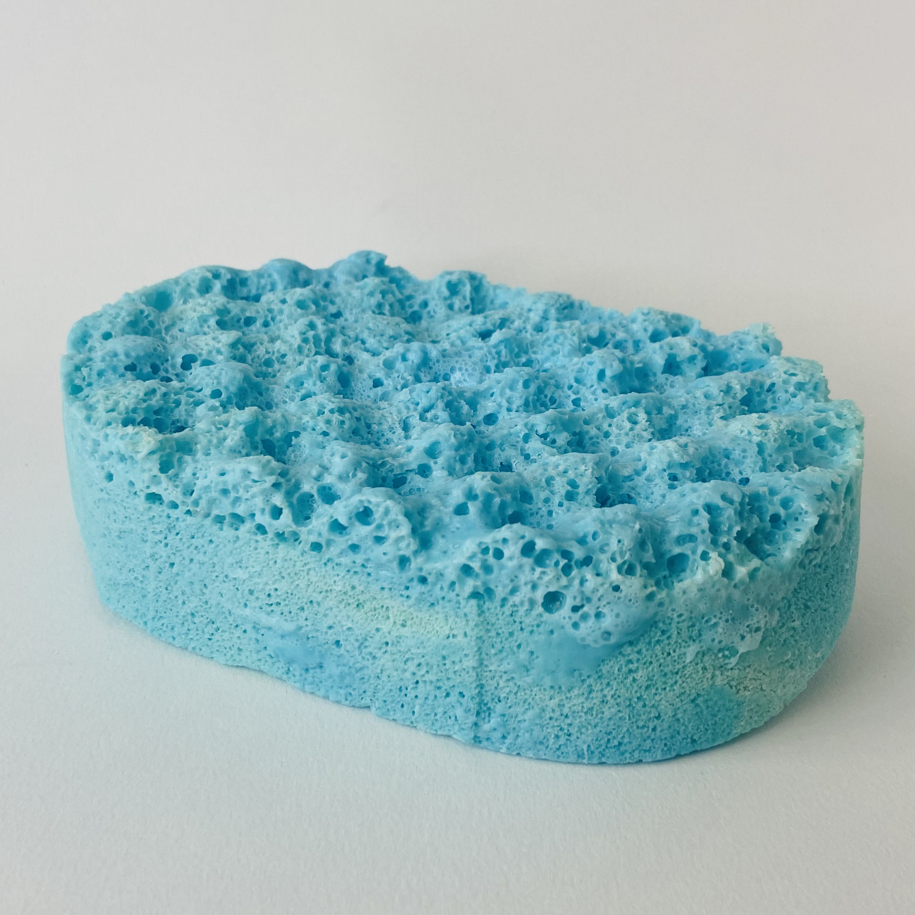 Bubblegum Soap Sponge
